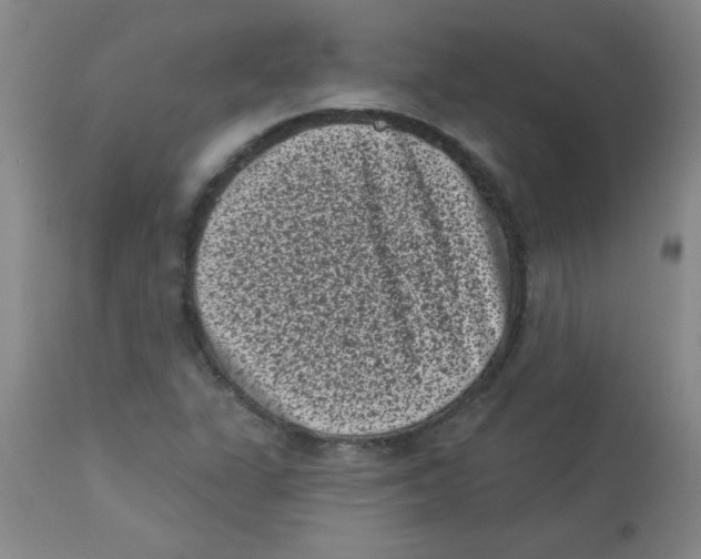 X0000113941311200910231935