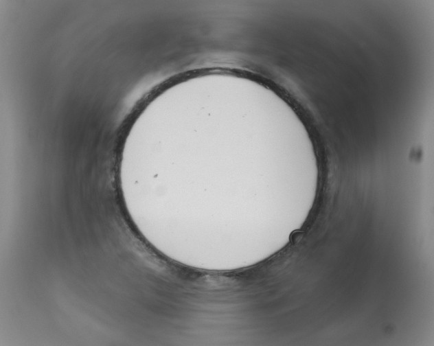 X0000113941312200910231935