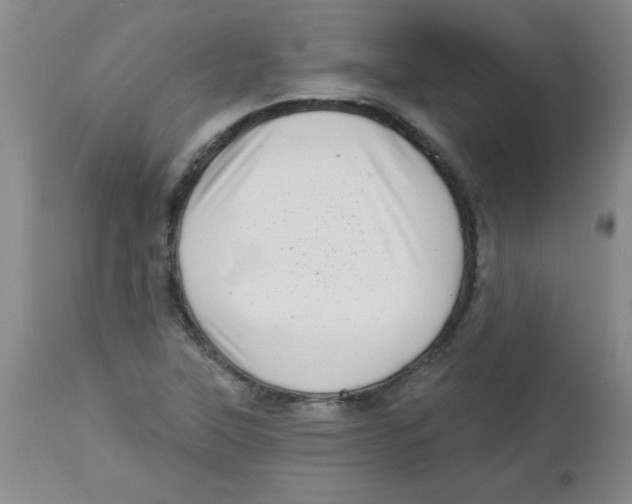 X0000113941315200910231935