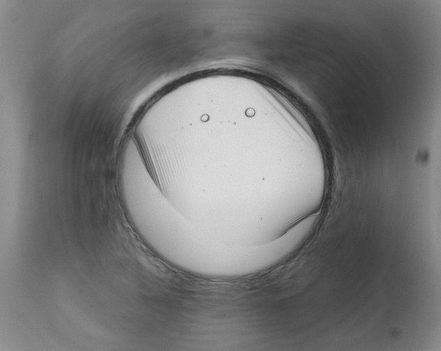 X0000113941316200910231935