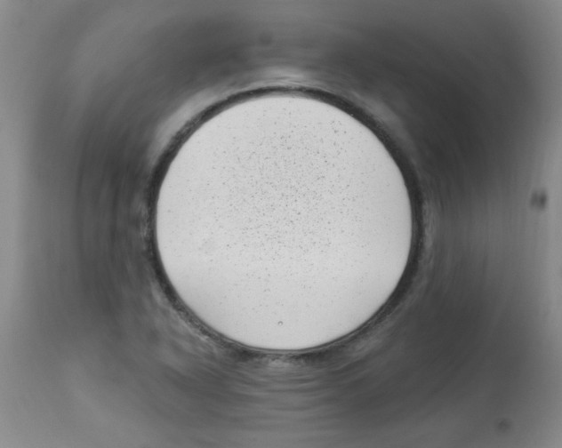 X0000113941318200910231935