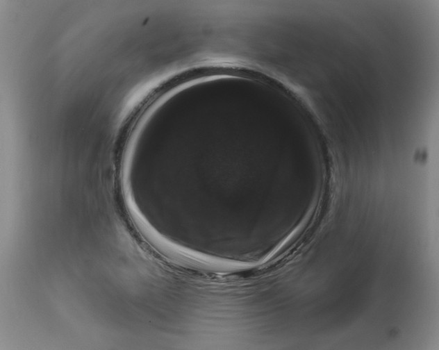 X0000113941319200910231935