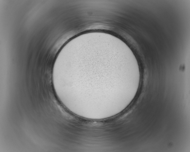 X0000113941321200910231935