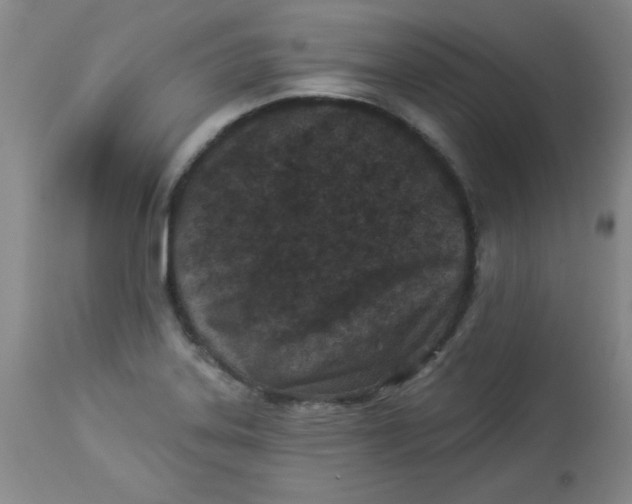 X0000113941323200910231935