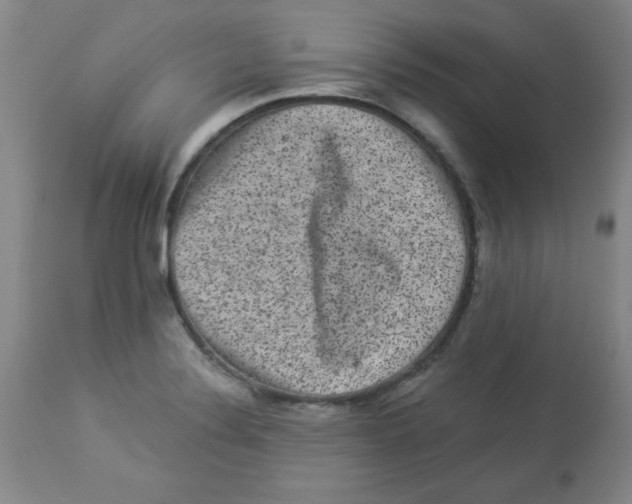 X0000113941324200910231935