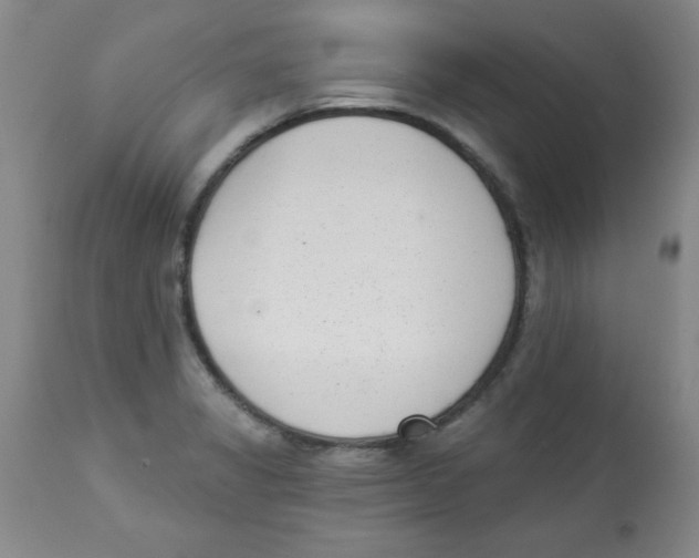 X0000113941325200910231935