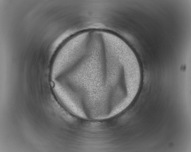 X0000113941326200910231935