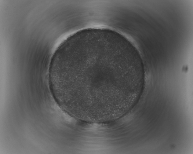 X0000113941327200910231935