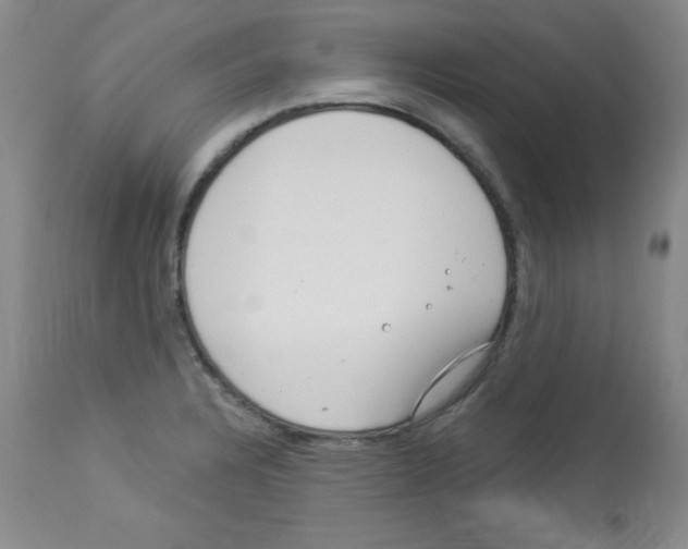 X0000113941328200910231935