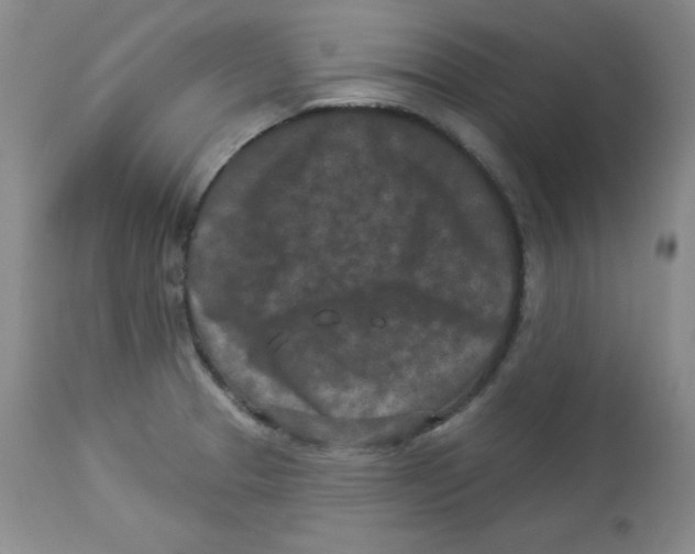 X0000113941329200910231935