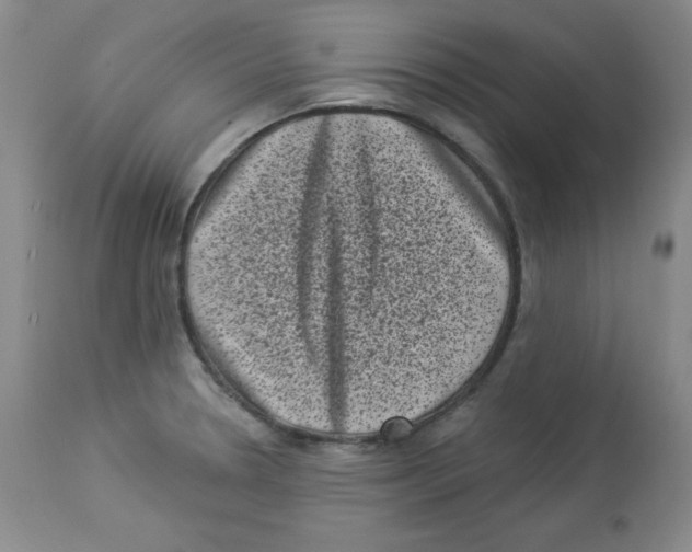 X0000113941330200910231935