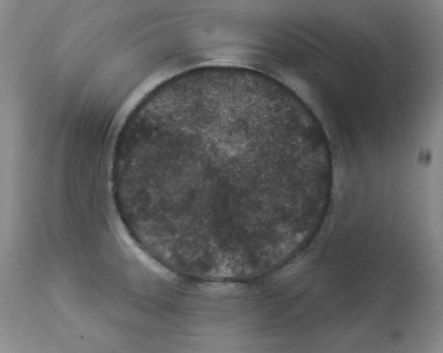 X0000113941331200910231935