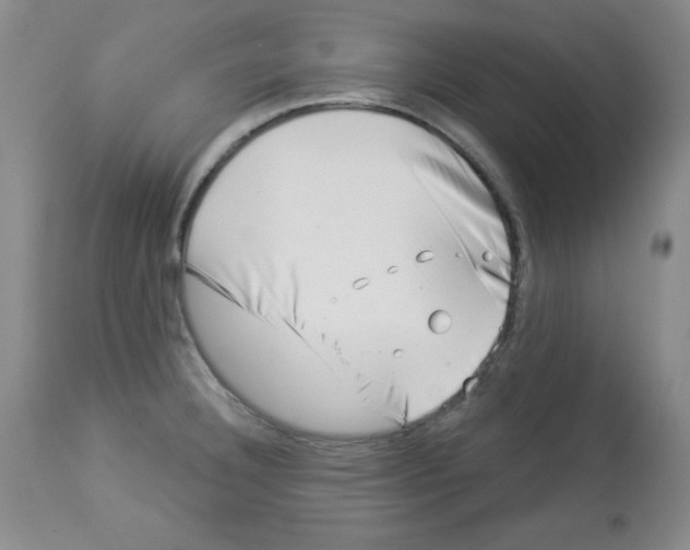 X0000113941332200910231935