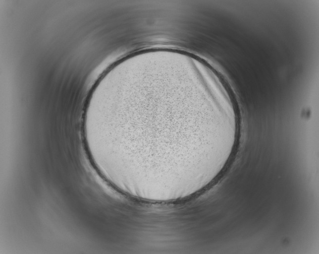 X0000113941333200910231936
