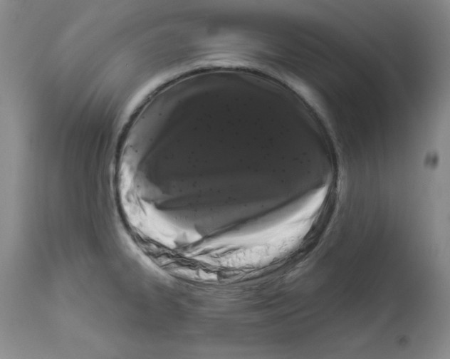 X0000113941334200910231936