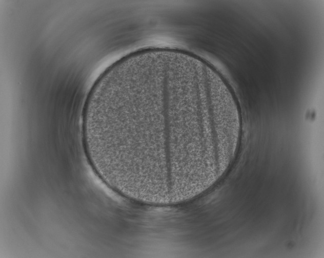 X0000113941335200910231936