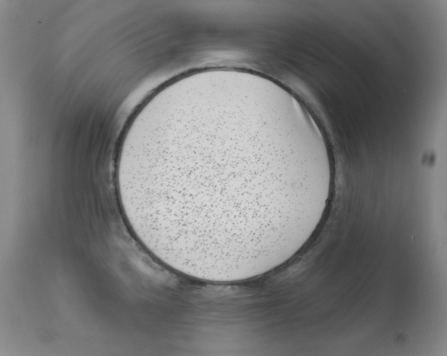 X0000113941336200910231936
