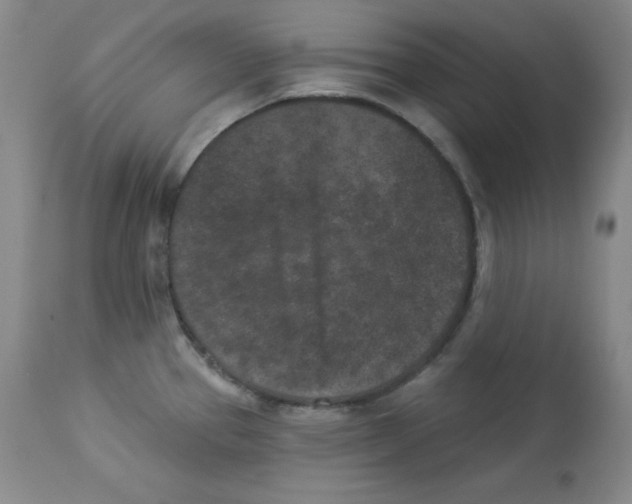 X0000113941337200910231936