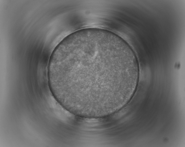 X0000113941338200910231936