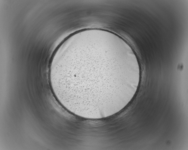 X0000113941340200910231936
