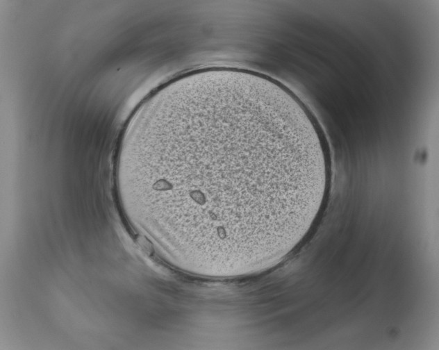X0000113941341200910231936