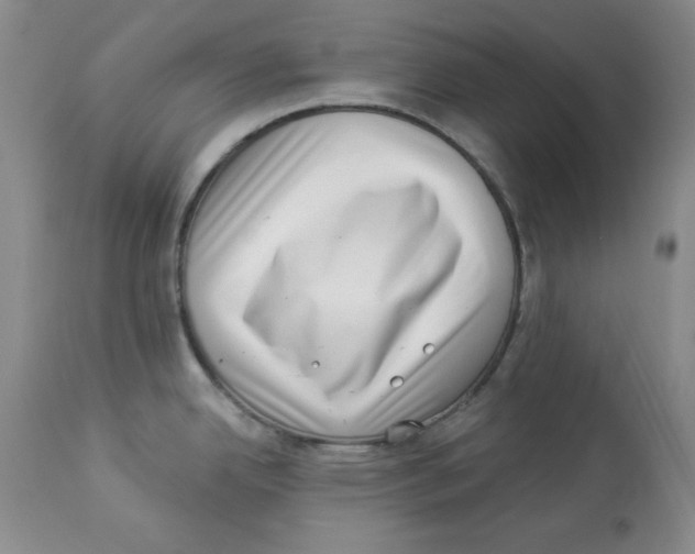 X0000113941342200910231936