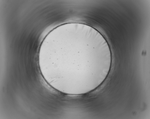 X0000113941344200910231936