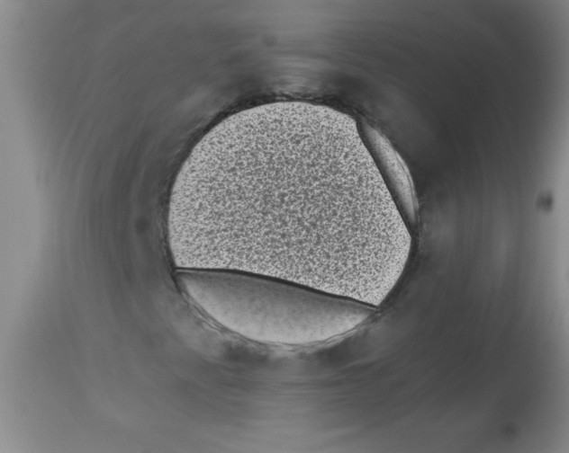 X0000113941345200910231935