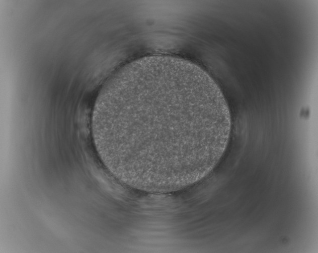 X0000113941346200910231935