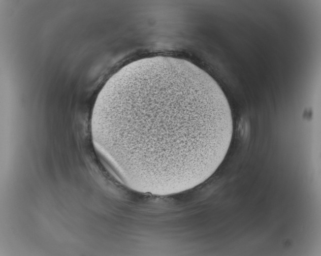 X0000113941348200910231935
