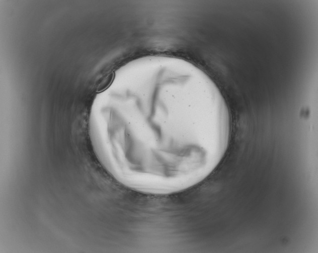 X0000113941349200910231935