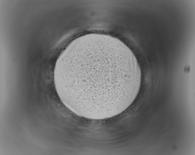 X0000113941350200910231935