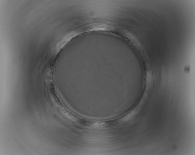 X0000113941353200910231935