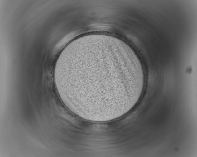 X0000113941354200910231935