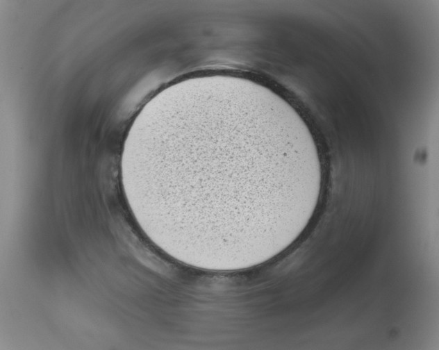 X0000113941355200910231935