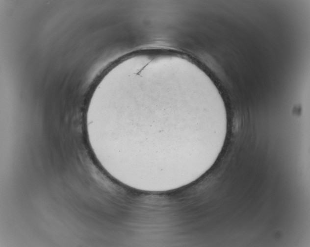 X0000113941356200910231935