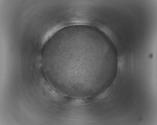 X0000113941357200910231935
