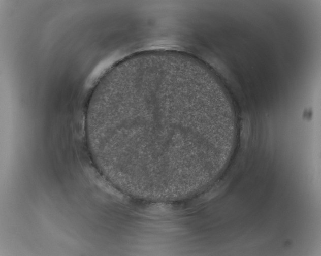 X0000113941358200910231935