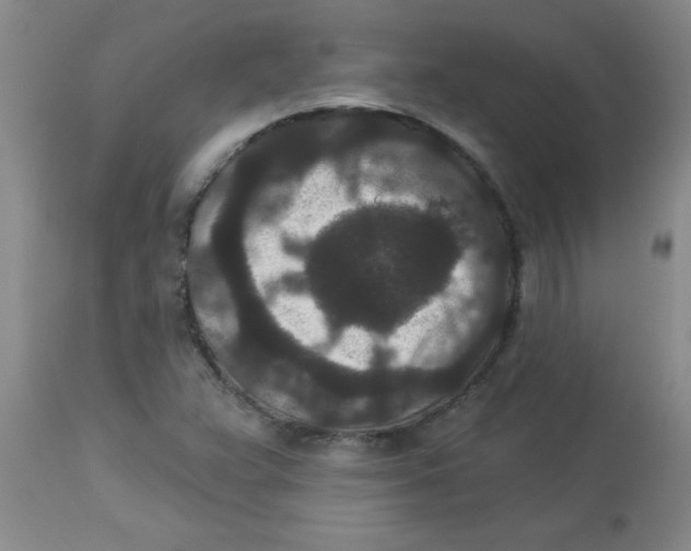 X0000113941359200910231935