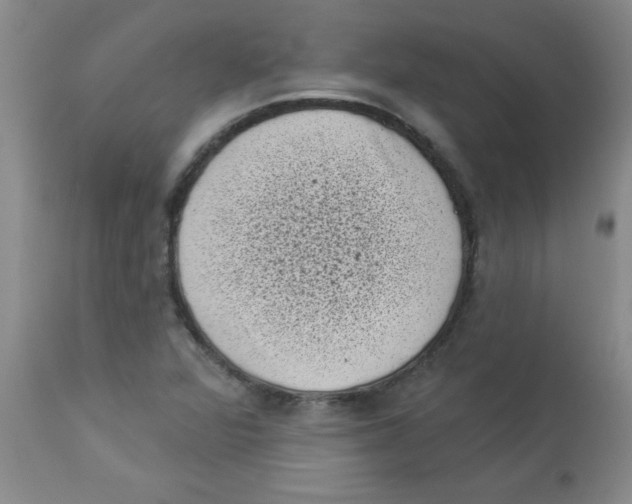 X0000113941360200910231935