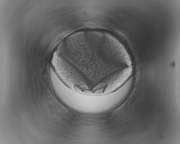 X0000113941361200910231935