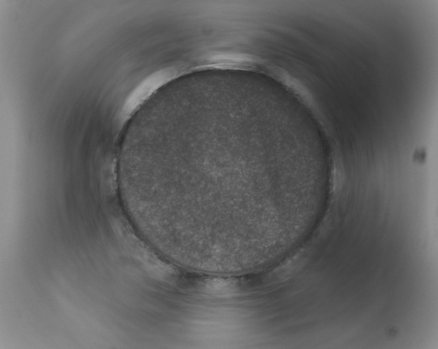 X0000113941362200910231935