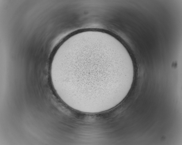 X0000113941364200910231935