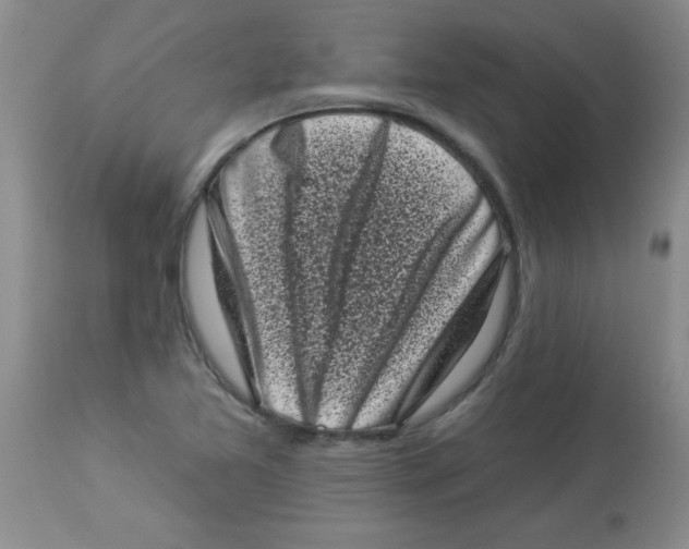 X0000113941365200910231935