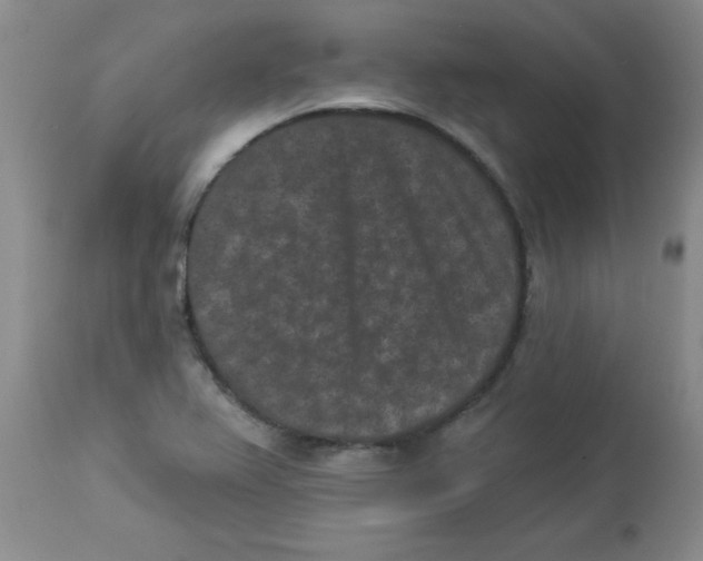 X0000113941367200910231935
