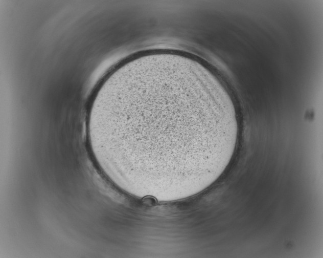 X0000113941368200910231935