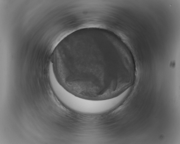 X0000113941369200910231935
