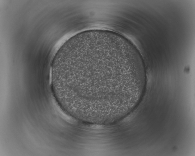 X0000113941371200910231935