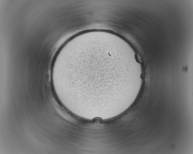 X0000113941372200910231935