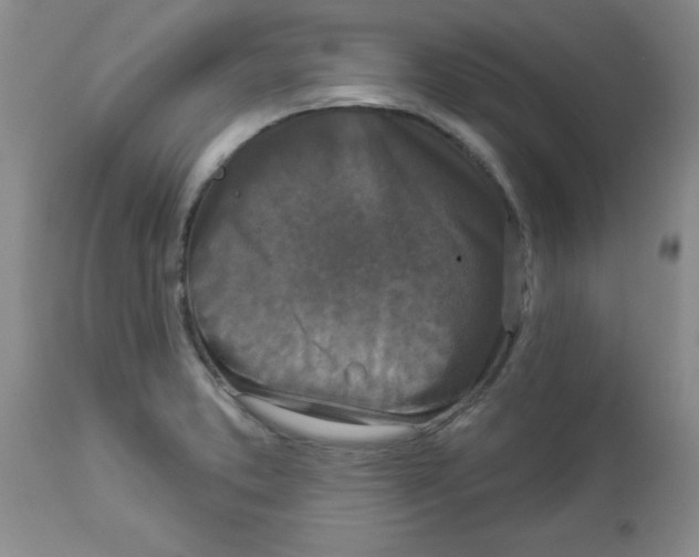 X0000113941373200910231935
